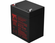 T6 Power RBC30, RBC29, RBC46 - battery KIT