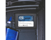 P210 1 TB, Flashmodul