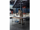 Bosch GSR 18V-50 Professional (0.601.9H5.001)