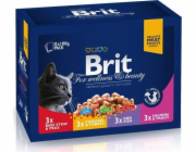 BRIT Cat Pouches Family Plate Box - mokré krmivo pro kočky - 12 x 100g