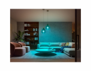 PHILIPS Hue White and Color Ambiance 9W 1100 E27