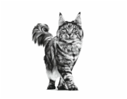 Royal Canin Veterinární dieta Feline Gastro Intestinal GI32 400g