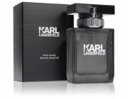 Karl Lagerfeld For Him EDT 100 ml
