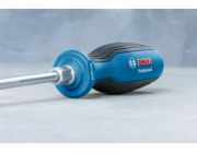 Bosch Professional SL 5,5 x 100 mm