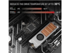 AXAGON CLR-M2FAN, měděný chladič s ventilátorem pro jedno...