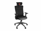 GENESIS ergonomické herní křeslo ASTAT 200 černé