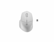 Natec optická myš SISKIN 2/Kancelářská/Optická/Pro praváky/1 600 DPI/USB+BT/Bílá