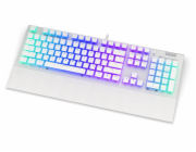 Endorfy herní klávesnice Omnis OWH Pudd.Kailh BR RGB /USB/ brown switch / drátová / mechanická / US layout / bílá RGB