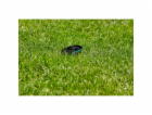 Gardena smart Irrigation Control  Sensor Set