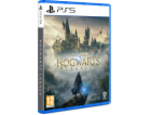 HRA PS5 Hogwarts Legacy