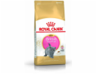 Royal Canin British Shorthair Kitten suché krmivo pro koč...