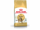 ROYAL CANIN FBN Bengal Adult - suché krmivo pro kočky - 10kg