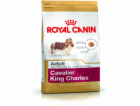 Krmivo Royal Canin SHN Breed Cavalier K C 1,5 kg