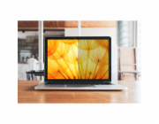 3M BP121W1B               16:10  12,1" Bright Screen for Laptop
