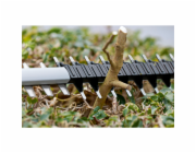 Bosch GHE 18V-60 solo  Cordless Hedgecutter