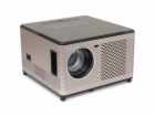 AOpen QF15a, Smart LED, FHD (1920 x 1080)  500 ANSI, 1.00...
