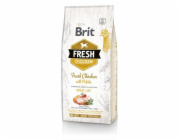 Brit Fresh 12 kg Dospělý jedinec Jablko, Pohanka, Kuřecí maso, Brambor