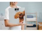Zelmer ZBS1010 Crazy dog kuchyňská váha