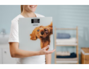 Zelmer ZBS1010 Crazy dog kuchyňská váha