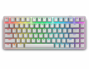 DELL klávesnice Alienware Pro Wireless Gaming Keyboard / US/ Int./ mezinár./ (Lunar Light)