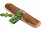 PETMEX Olive tree stick M - žvýkací pamlsek pro psy