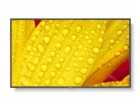 Sharp 65" MultiSync ME652 - 18/7/450cd/IPS Direct LED/384...