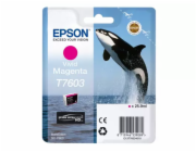 Epson T7603 Ink Cartridge Vivid Magenta