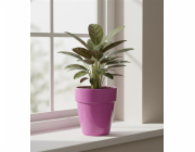 Hrnec Domoletti ORCHID T-81T-229-13, keramika, O 130 mm