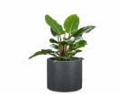 Hrnec Scheurich Schwarz-Granit, plast, O 39 cm