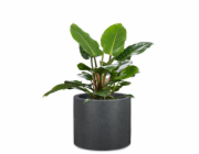 Hrnec Scheurich Schwarz-Granit, plast, O 39 cm
