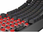 Genesis herní klávesnice THOR 230/TKL/RGB/Outemu Red/Drát...