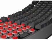 Genesis herní klávesnice THOR 230/TKL/RGB/Outemu Red/Drátová USB/US layout/Černá