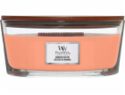 Svíčka WoodWick loď, Manuka Nectar, Nektar manuka, 453.6 g