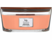 Svíčka WoodWick loď, Manuka Nectar, Nektar manuka, 453.6 g
