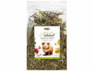 ALEGIA Herbs for cavia - lahůdka pro morče domácí - 100g
