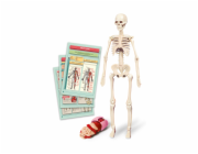 Vzdělávací hračka Clementoni The Human Body Mini-Set 50824