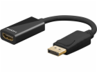 Video redukce  DisplayPort samec - HDMI 