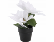 Home Styling Collection Kolekce pro domácí styling Vánoční hvězda v květináči, výška 18 cm