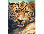 Pegasus Elliot Mackenzie Publishers Namalujte to! BS51736 Gepard