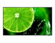NEC MultiSync E328-2 - 32" Třída úhlopříčky E Series displej LCD s LED podsvícením - digital signage - 1080p 1920 x 1080 - HDR - Direct LED