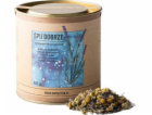 Dworzysk - Spánek - Sypaný čaj 60g