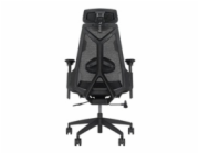 Asus ROG Destrier Core Gaming-Stuhl black (schwarz, mobile Gaming-Armstützmodus)