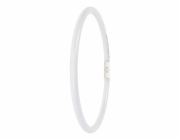 Osram LED Circular Lamp T5  FC40/55 P 21,5W 830 2GX13