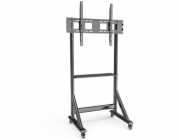 Techly Mobilní TV stojan 55-100” až 120 kg, nastavitelná AV police