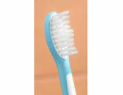 PHILIPS Hlavice zubního kartáčku HX6042/90, modrobílá
