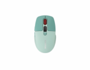 CANYON mouse MW-26 LCD Silent Dual Mode Wireless Green