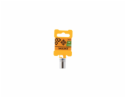 Šroub s vnitřním šestihranem Forte Tools, 11 mm, 1/4"