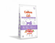CALIBRA Life Junior Small&Medium breed Lamb - suché krmivo pro psy - 12kg