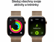 Apple Watch S11 Cell/46/Elegant Band/Gold