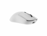 White Shark GM-9010 MAXIMUS White